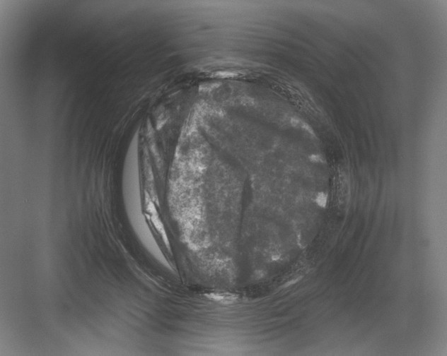 X0000082170598200702162303