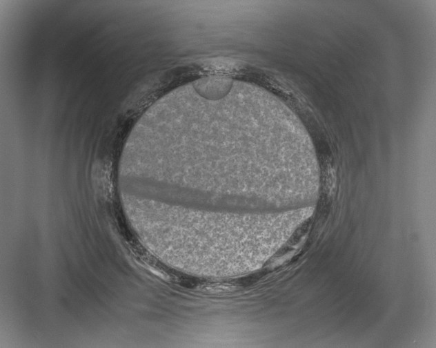 X0000082170599200702162303