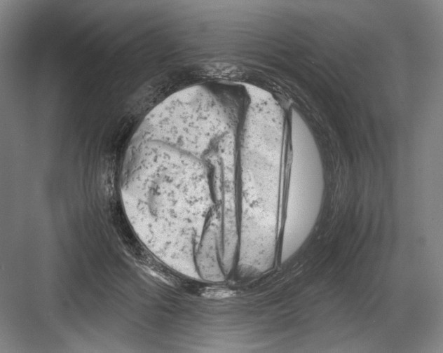 X0000082170602200702162303