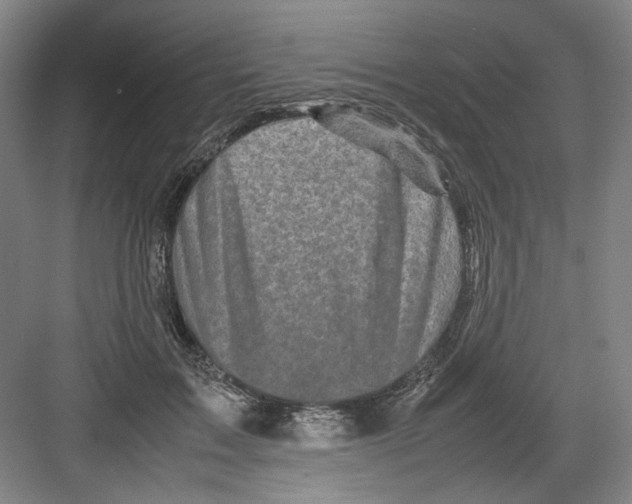 X0000082170603200702162303