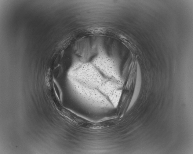 X0000082170604200702162303