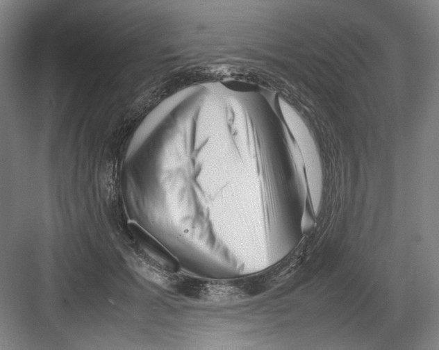 X0000082170605200702162303