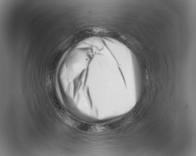 X0000082170607200702162303