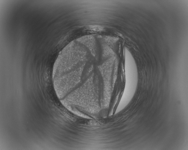 X0000082170608200702162303