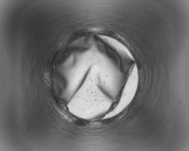 X0000082170609200702162303