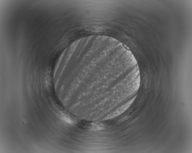 X0000082170612200702162302