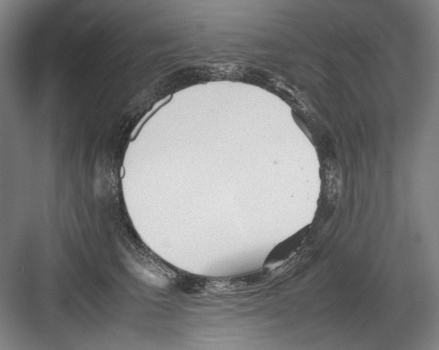 X0000082170613200702162302