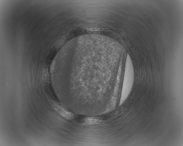 X0000082170614200702162302