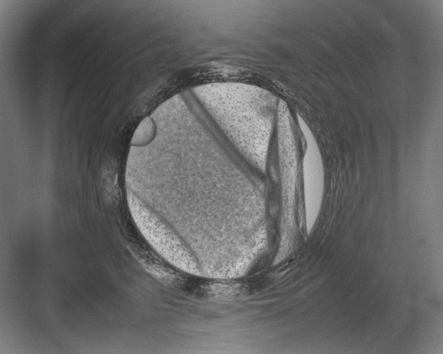 X0000082170615200702162302