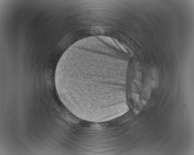 X0000082170616200702162302