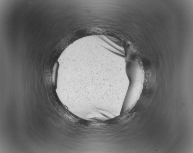 X0000082170617200702162302