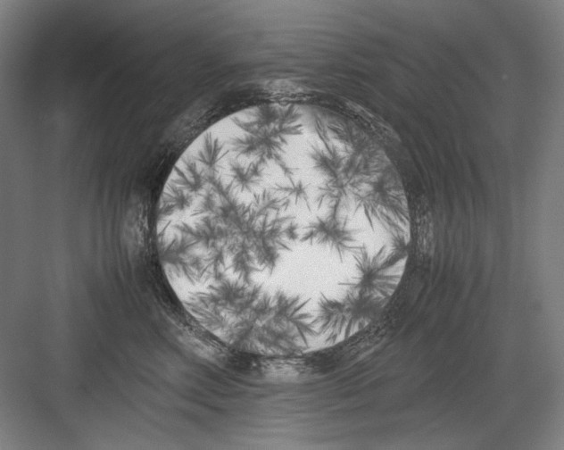 X0000082170618200702162302