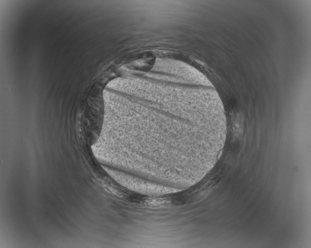 X0000082170619200702162302