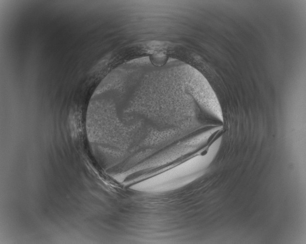 X0000082170620200702162302