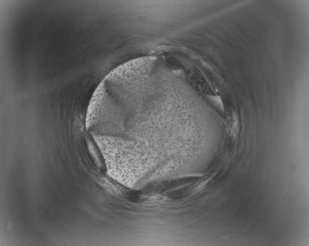 X0000082170621200702162302