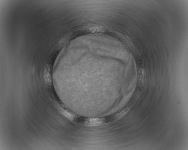 X0000082170622200702162302