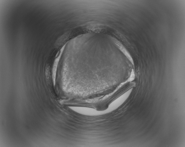 X0000082170623200702162302