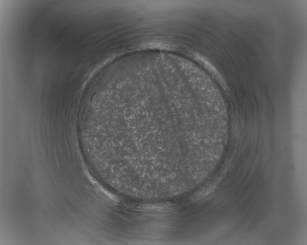 X0000082170625200702162301