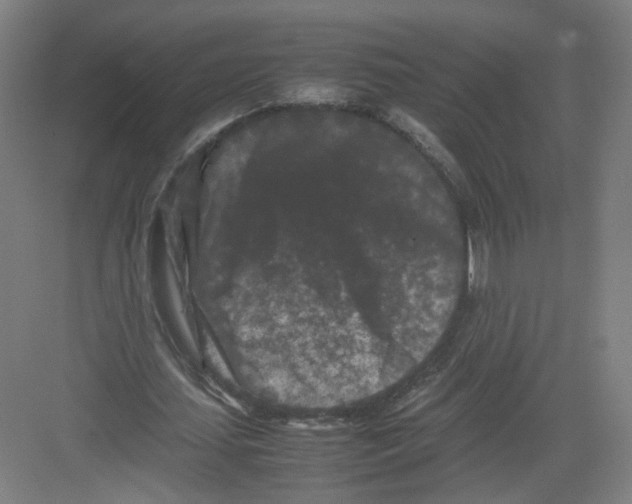 X0000082170627200702162301