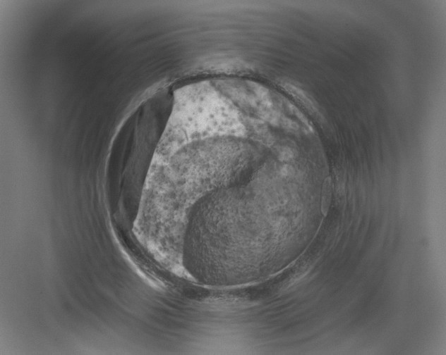 X0000082170630200702162302