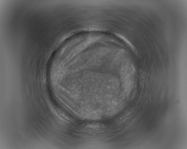 X0000082170631200702162302