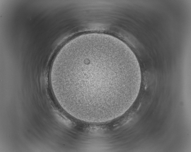 X0000082170632200702162302