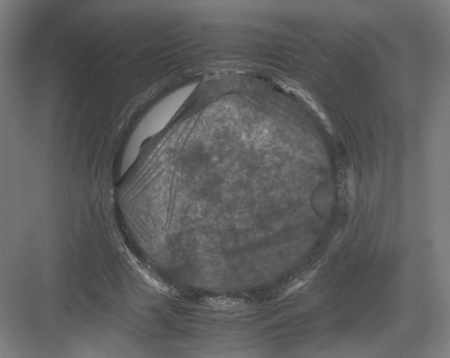 X0000082170633200702162302