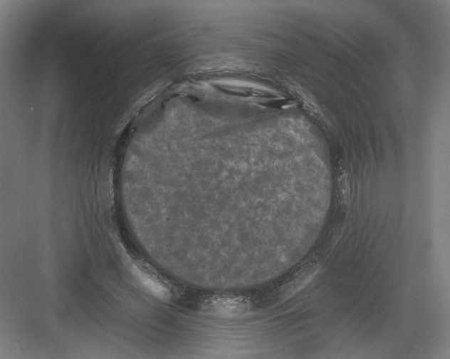 X0000082170638200702162302