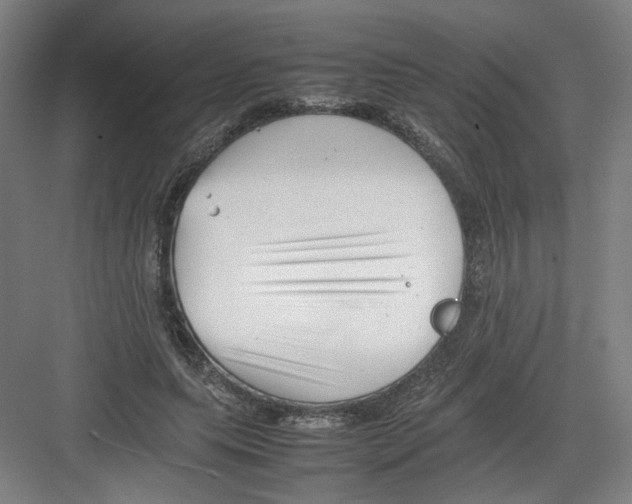 X0000082170639200702162302