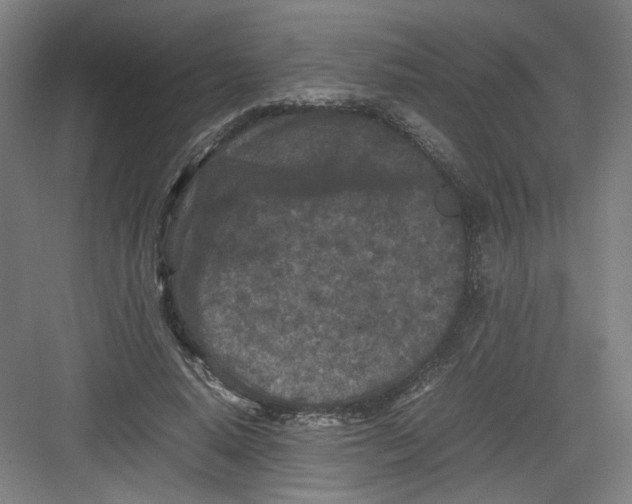 X0000082170640200702162302