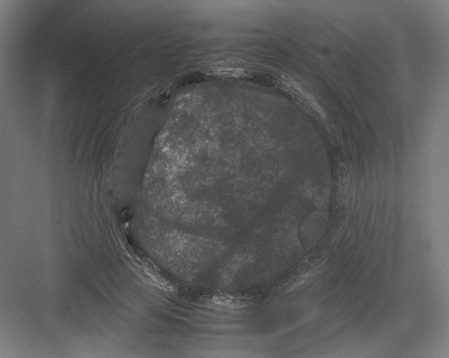 X0000082170641200702162302