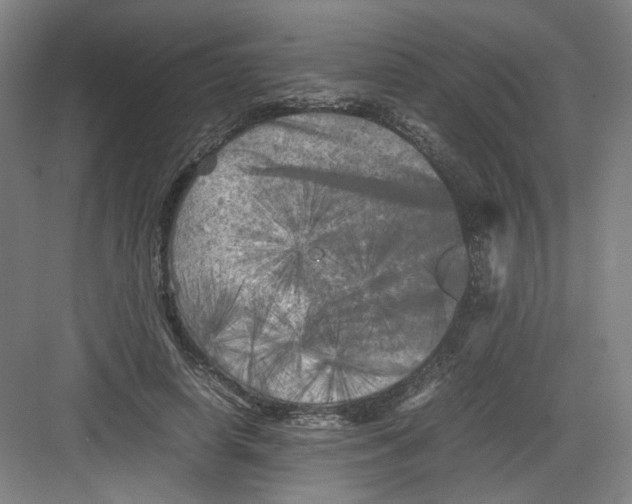 X0000082170642200702162302