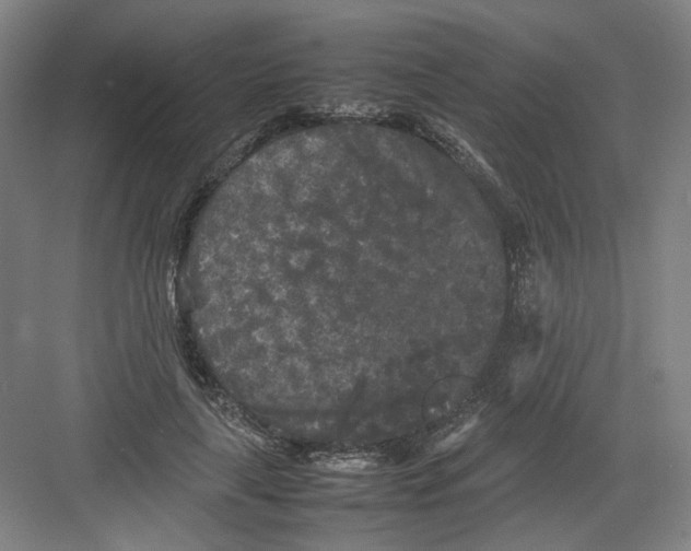 X0000082170643200702162302