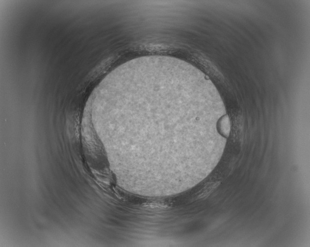 X0000082170644200702162302