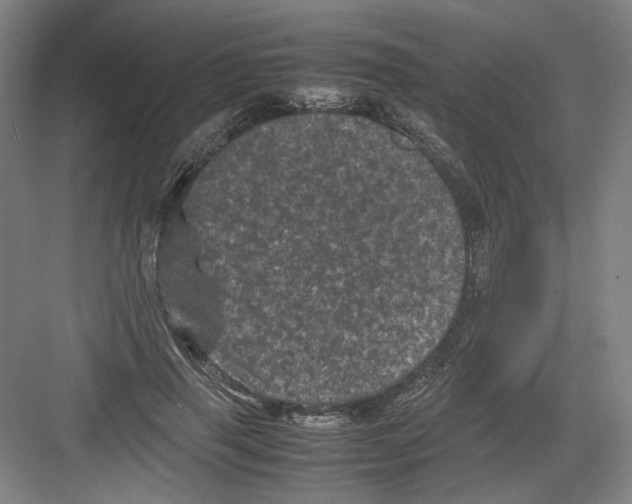 X0000082170645200702162302