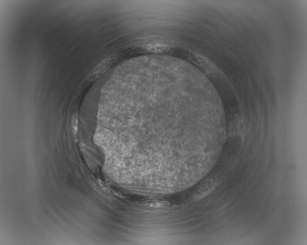 X0000082170646200702162302