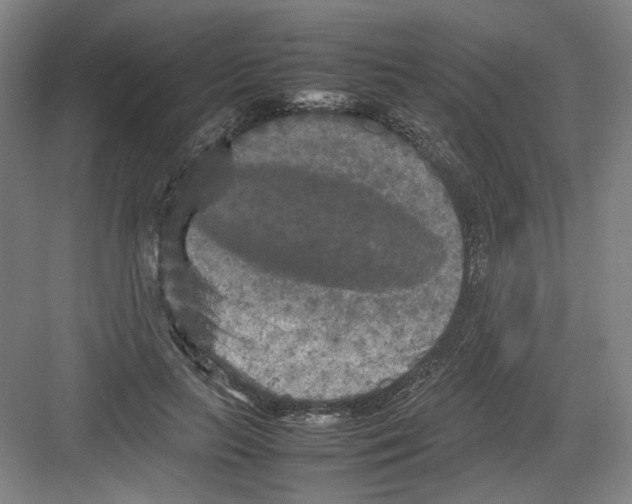 X0000082170647200702162302