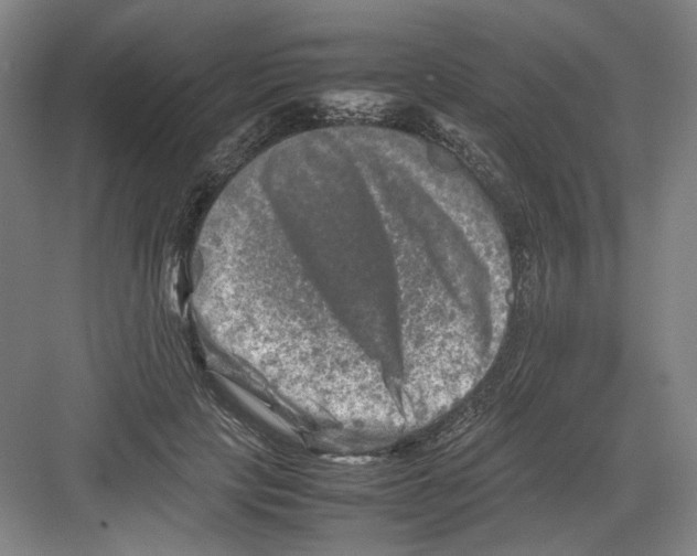 X0000082170649200702162302