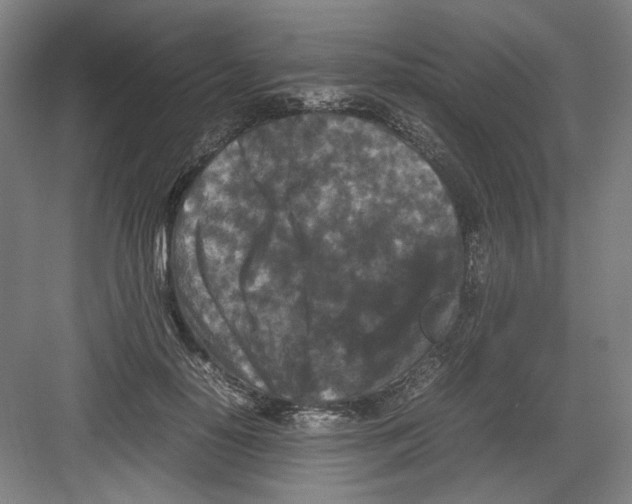 X0000082170650200702162302