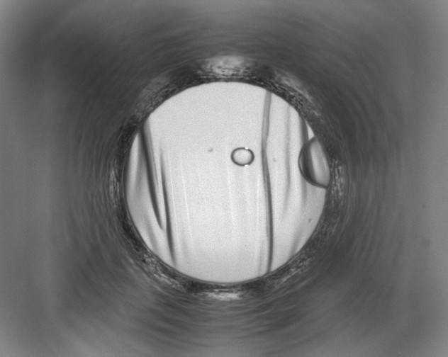 X0000082170651200702162302