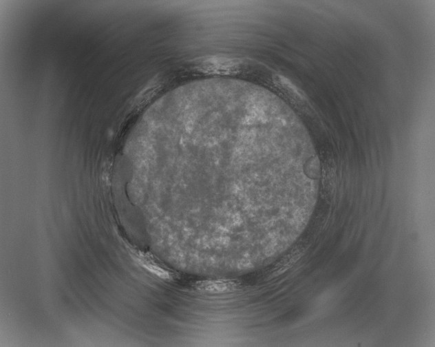 X0000082170652200702162302