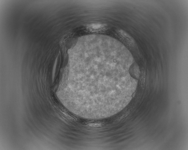 X0000082170653200702162302