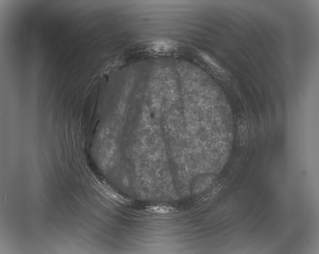 X0000082170654200702162302