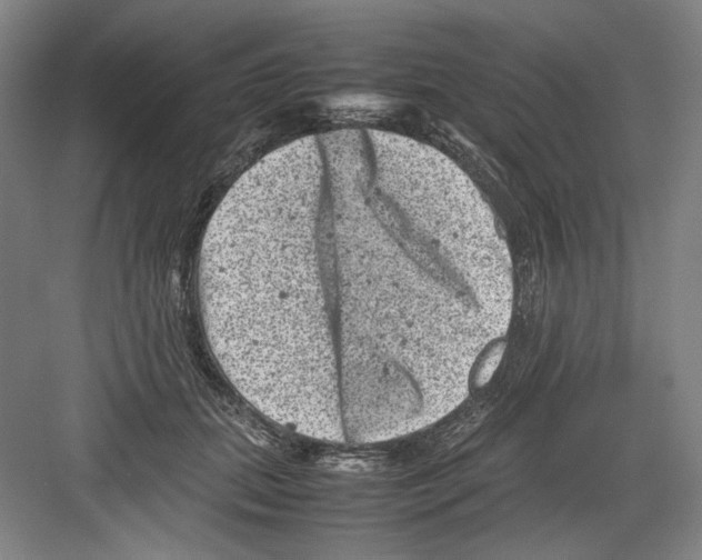 X0000082170655200702162302