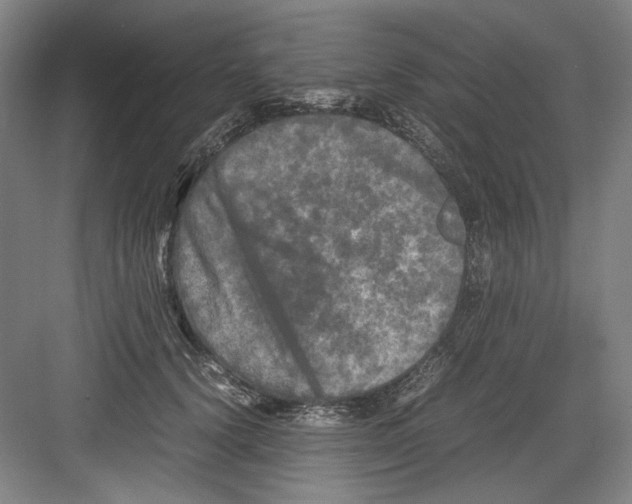 X0000082170656200702162302