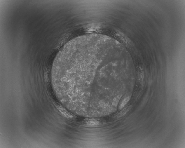 X0000082170658200702162302