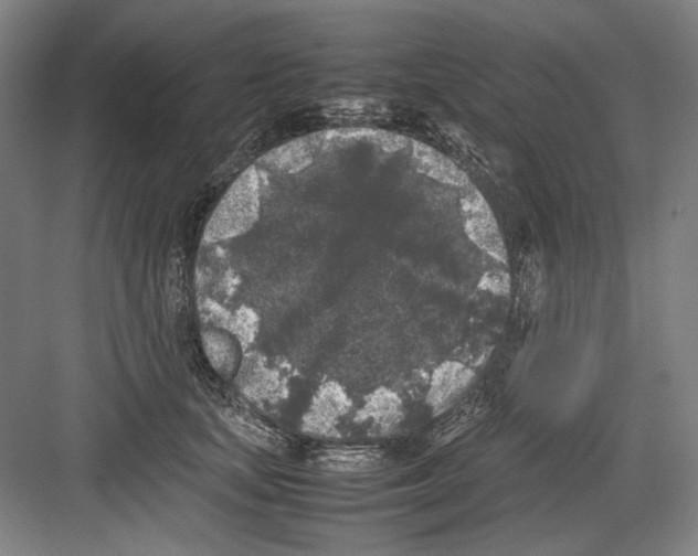 X0000082170659200702162302