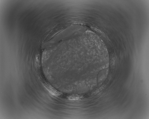 X0000082170661200702162302