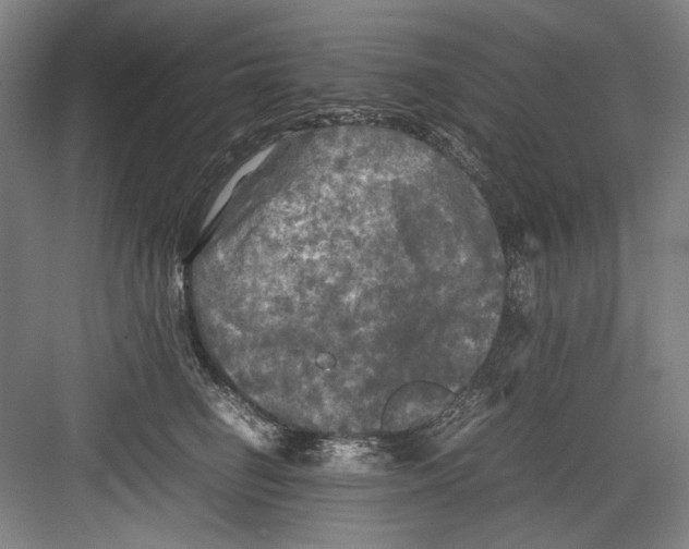 X0000082170662200702162302