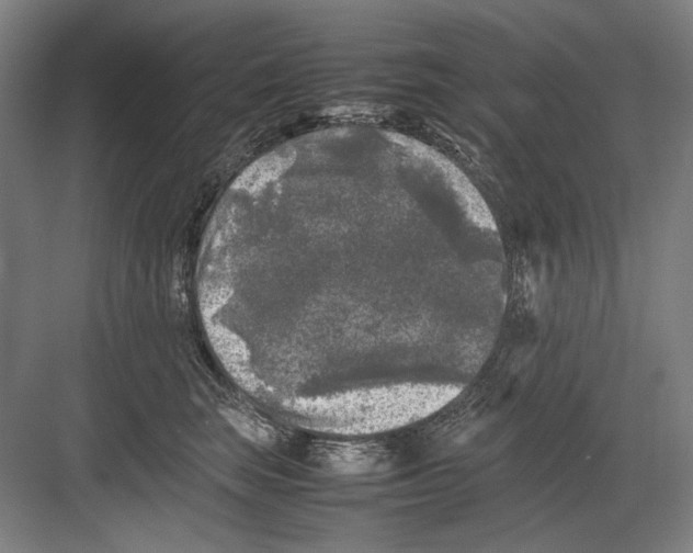 X0000082170663200702162302